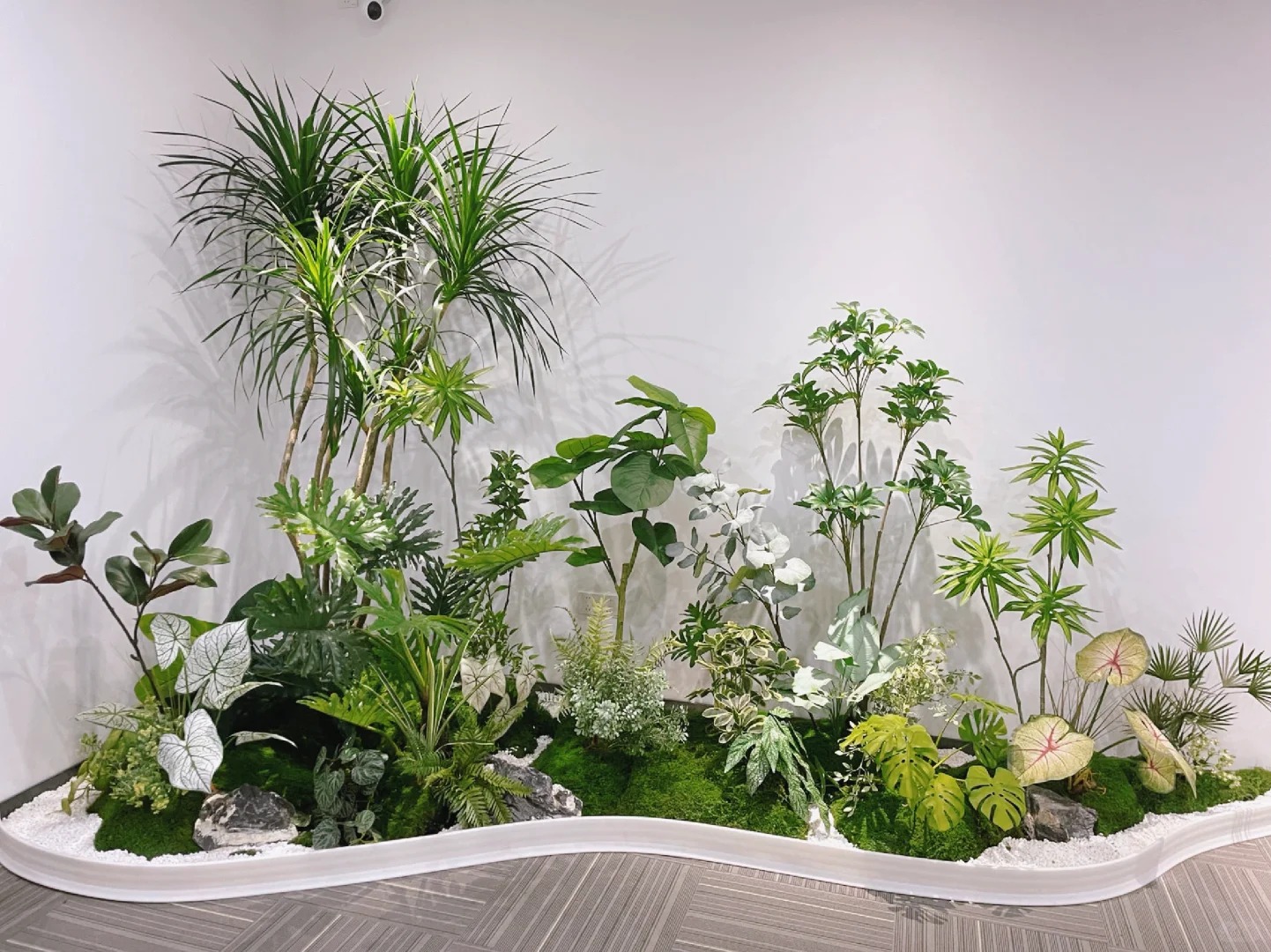 专业花卉租摆,海曙为您的环境增添自然之美